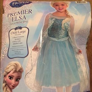 Disney Frozen Elsa Costume
